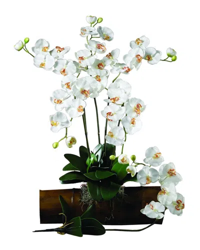 Nearly Natural Set Of 6 Phalaenopsis Stem In Beige
