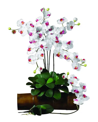 Nearly Natural Set Of 6 Phalaenopsis Stems In White