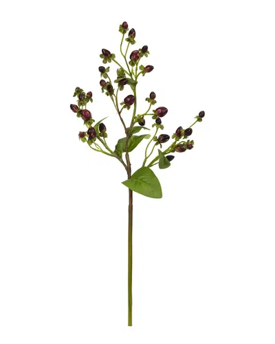 Nearly Natural 17" Italian Coffee Bean Artificial Flower, Set Of 8 In Green