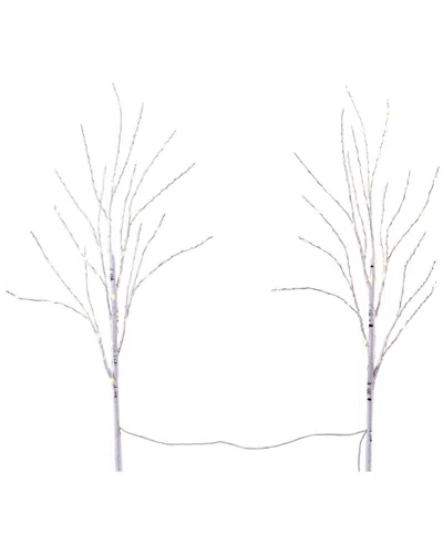 Nearly Natural Set Of Two 2.5ft Pre-lit Artificial White Birch Branches With Warm White 100 Micro Led Lights In Green