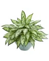 Nearly Natural Silver Queen Artificial Plant In Green Vase In Green