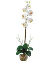 Nearly Natural Single Phalaenopsis Liquid Illusion Silk Flower Arrangement In Cream