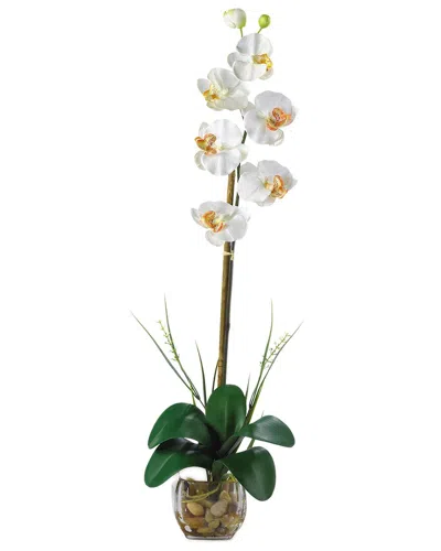 Nearly Natural Single Phalaenopsis Liquid Illusion Silk Flower Arrangement In Cream