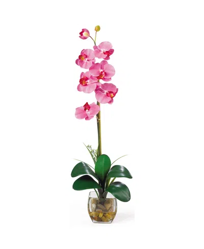 Nearly Natural Single Phalaenopsis Liquid Illusion Silk Flower Arrangement In Pink