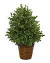 Nearly Natural Sweet Grass Artificial Plant In Basket In Green