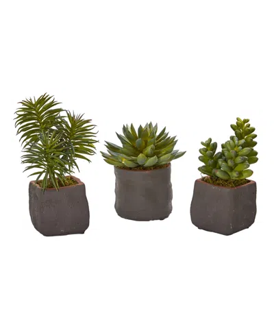 Nearly Natural Set Of 3 Mixed Succulent Artificial Plants In Green,brown