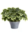 Nearly Natural Variegated Hosta Artificial Plant In Gray Planter In Green