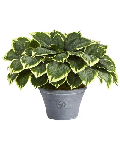 Nearly Natural Variegated Hosta Artificial Plant In Gray Planter In Green