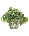 Nearly Natural Watermelon Peperomia Artificial Plant In Vase (real Touch) In Green