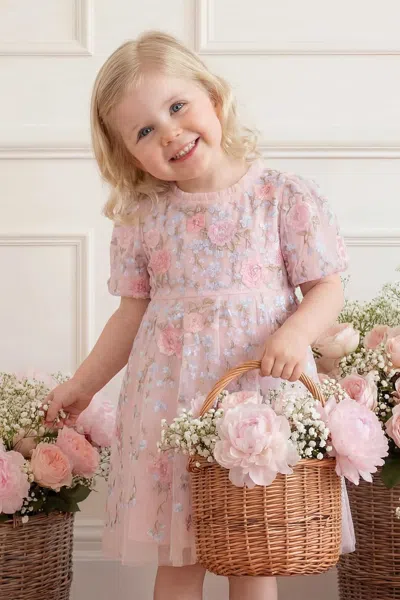 Needle & Thread Cressida Embroidery Baby Dress In Pink