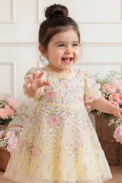 Needle & Thread Cressida Embroidery Baby Dress In Yellow