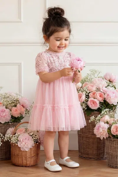 Needle & Thread Garland Ribbon Bodice Baby Dress In Pink