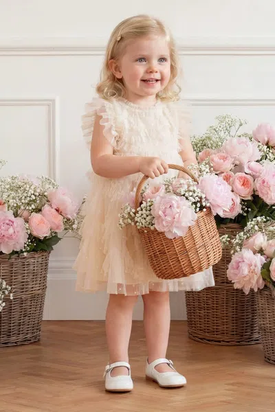 Needle & Thread Genevieve Baby Dress In Neutral
