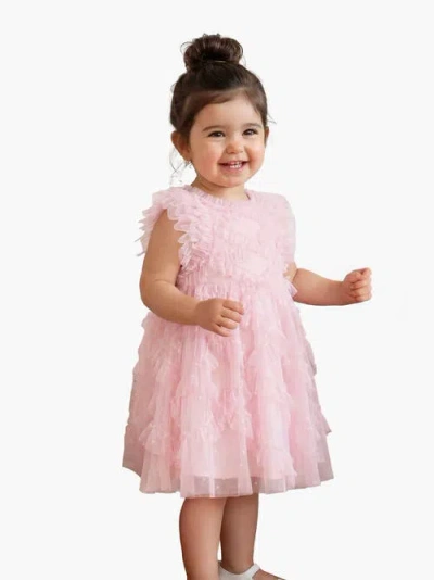 Needle & Thread Genevieve Embroidered Ruffle Baby Dress In Pink