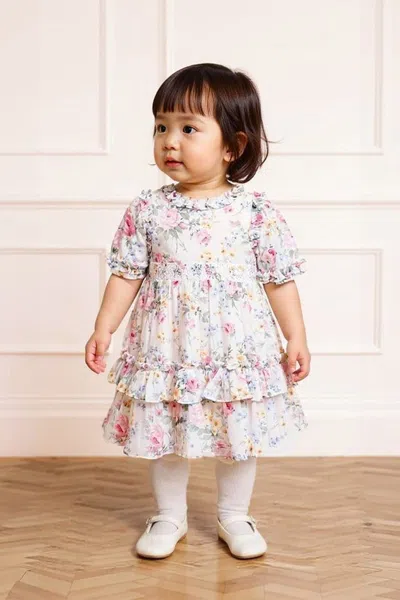 Needle & Thread Pompadour Garden Chiffon Smocked Baby Dress In Multi