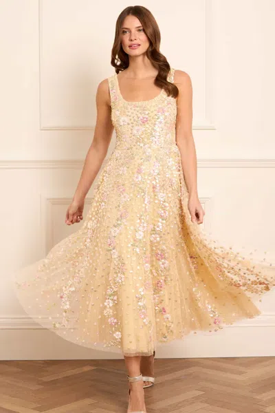 Needle & Thread Confetti Scoop Neck Ballerina Dress In Yellow