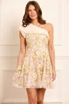 Needle & Thread Posy Pirouette Floral-embroidered Tulle Mini Dress In Champagne