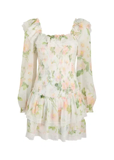 Needle & Thread Immortal Rose Poppy Smocked Mini Dress In Multicoloured