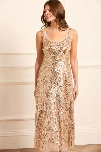 Needle & Thread Marquet Scoop Neck Ballerina Dress In Beige