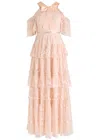Needle & Thread Primrose Embroidered Tulle Gown In Light Pink