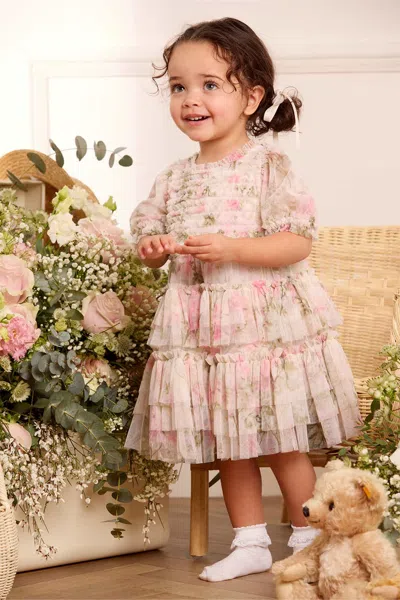 Needle & Thread Rose Ruffle Frill Baby Dress In Pink