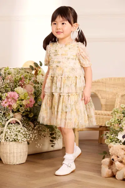 Needle & Thread Rose Ruffle Frill Baby Dress In Multi