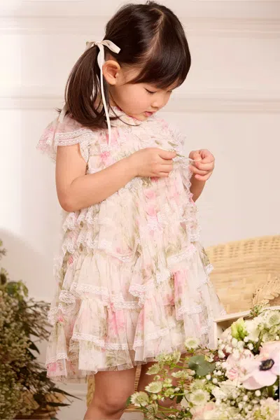 Needle & Thread Rose Ruffle Lace Baby Dress In Multi