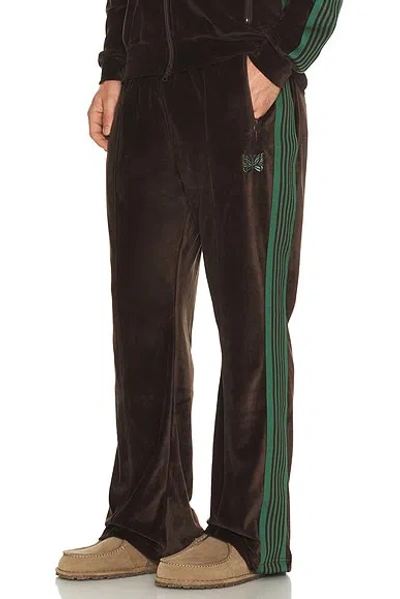 Needles Boot Cut Track Pant In Brown