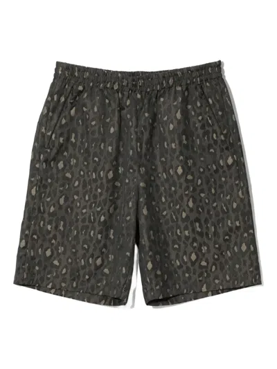 Needles Leopard-print Track Shorts In Green