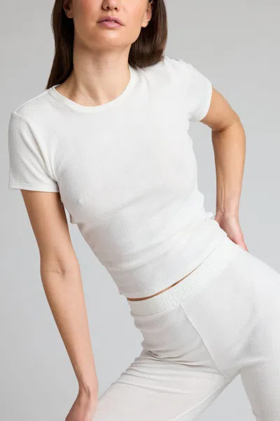 Negative Pointelle Baby Tee In White