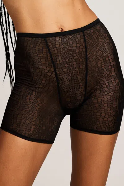 Negative Serpente Boxer In Black