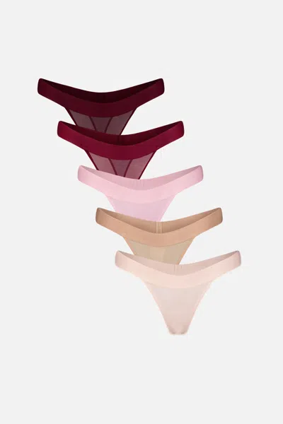 Negative Sieve Thong In Dahlia (pack) In Multi