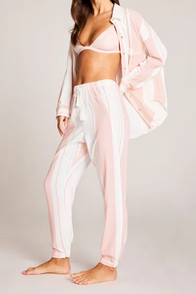 Negative Supreme Jogger Pant In Shell Stripe In Pattern