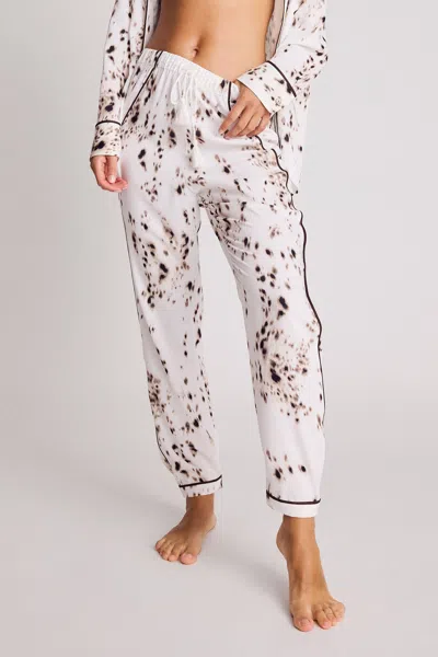 Negative Supreme Jogger Pant In Snow Leopard In Neutral