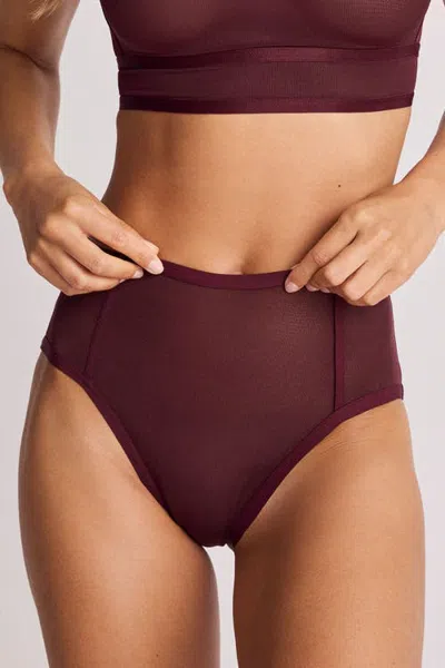Negative Underwear Sieve High Brief In Burgundy