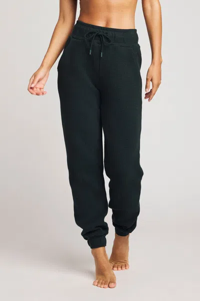 Negative Waffle Knit Jogger In Cypress In Black