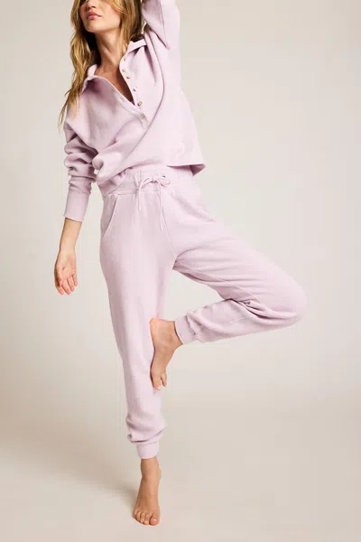 Negative Waffle Knit Jogger In Lilac In Purple