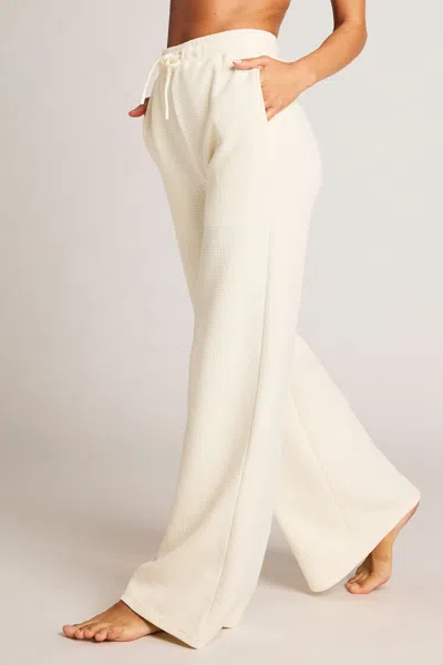 Negative Waffle Knit Track Pant In Cream In White