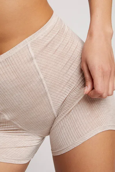 Negative Whipped Boxer In Sand In Neutral