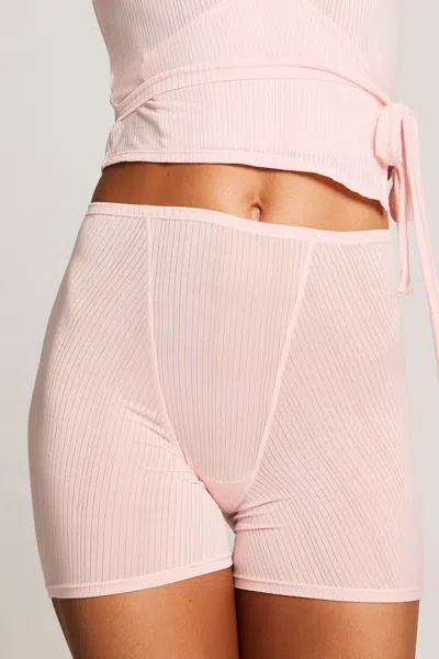 Negative Whipped Boxer In Shell In Pink