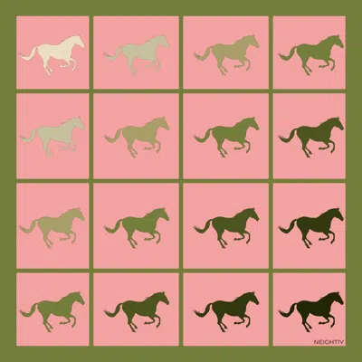 Neightiv Women's Pink Galloping Hoofbeats Small Scarf
