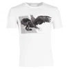 Neil Barrett Pegasus T-shirt In White Cotton In White