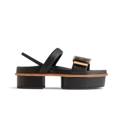 Neil J. Rodgers Eliza Platform