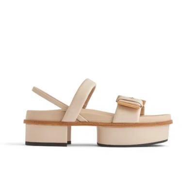Neil J. Rodgers Eliza Platform