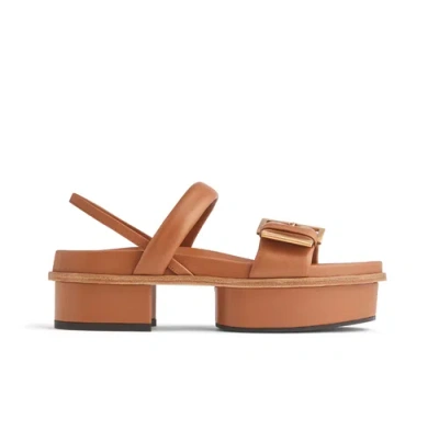 Neil J. Rodgers Eliza Platform