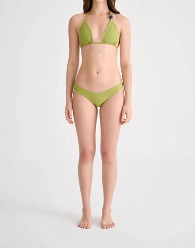Nelblu Women's Brillo Cheeky Bikini Bottom In Folleto In Green