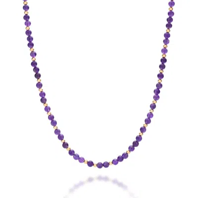 Nellou Jewellery Women's Gold / Pink / Purple Jewel Bead February Birthstone Necklace Gold Plated Sterling Silver - A In Multi