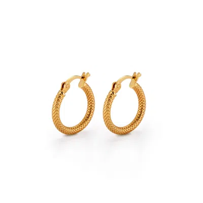 Nellou Jewellery Women's Hatch Hoop Earrings Gold Plated Sterling Silver