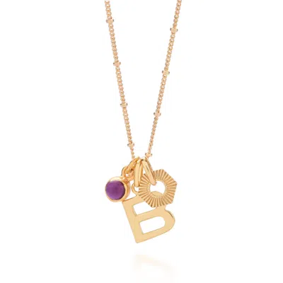 Nellou Jewellery Women's Pink / Purple Personalised Hex Initial February Birthstone Necklace Gold Plated Sterling Sil