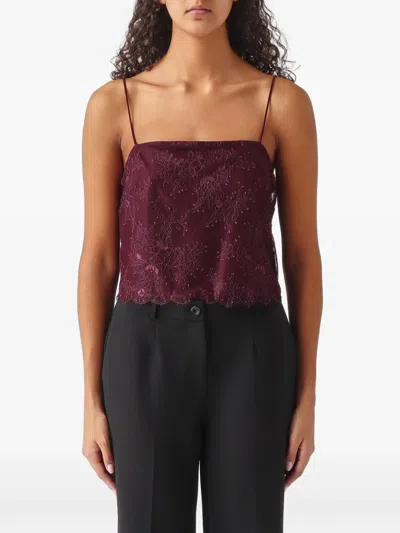 Nenette Flame Lace-embroidered Camisole Top In Purple